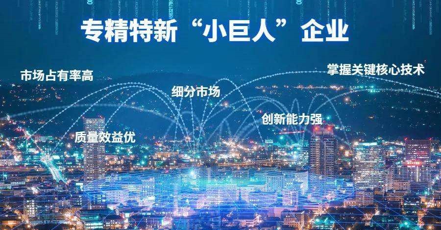 專精特新企業(yè)認定